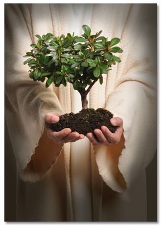 Photo of Jesus holding a tree in his hand.